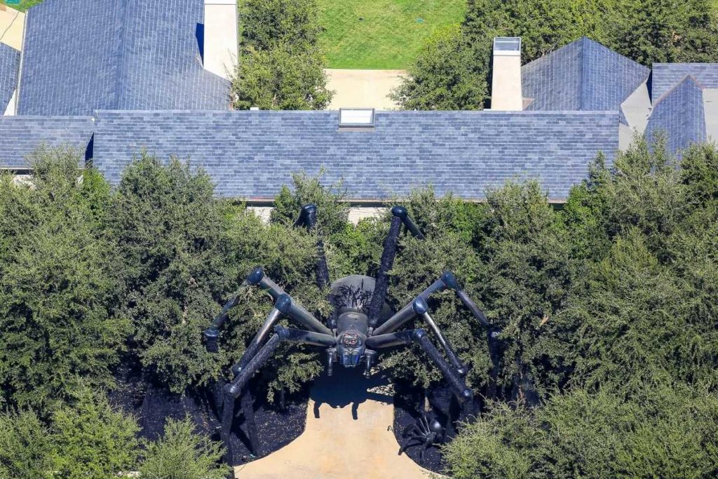 aranha gigante comprada para o quintal da casa nova de kim kardashian