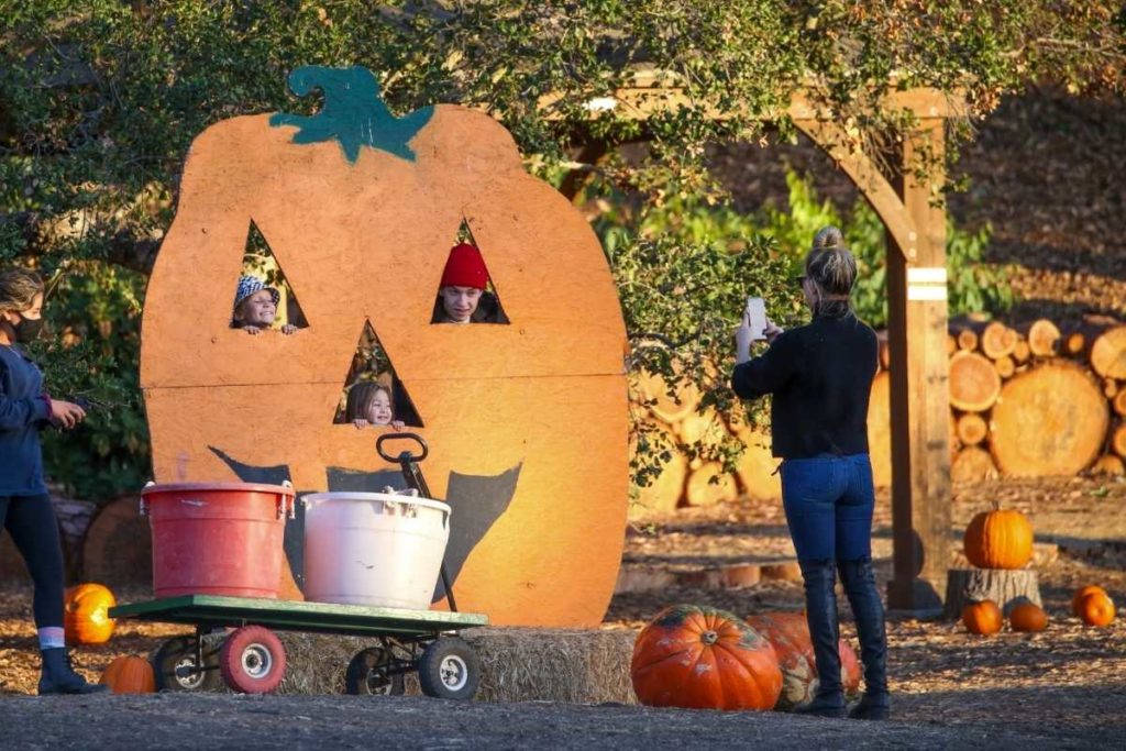 kate hudson tirando foto da filha em plantação de abóbora