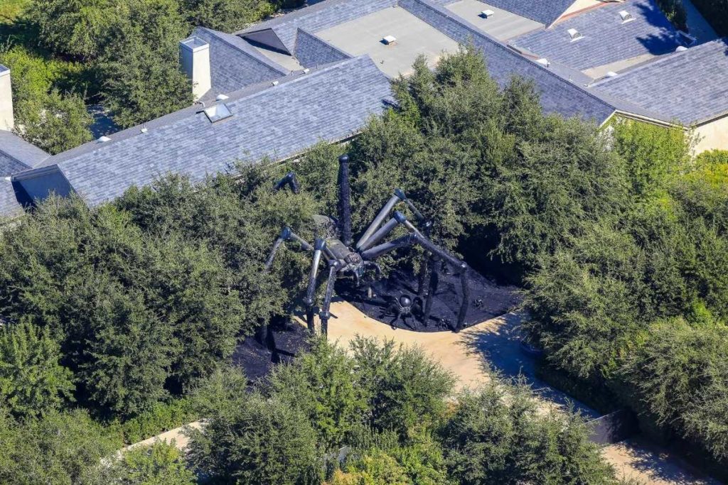 aranha gigante comprada para o quintal da casa nova de kim kardashian