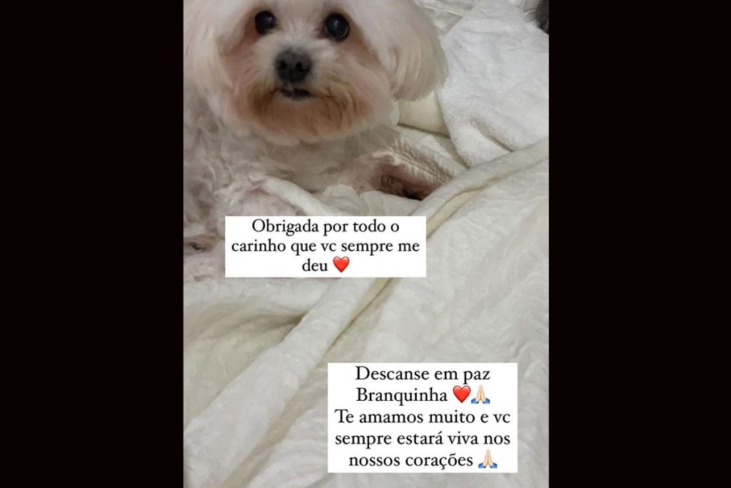 Yasmin Brunet lamenta morte de cachorrinha de estimação