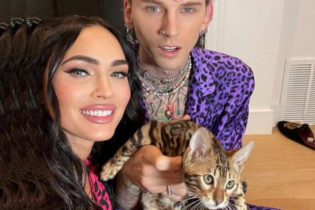 Megan Fox e Machine Gun Kelly com gatinho