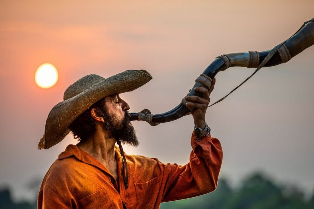 Pantanal - (primeira fase) - Joventino (Irandhir Santos)