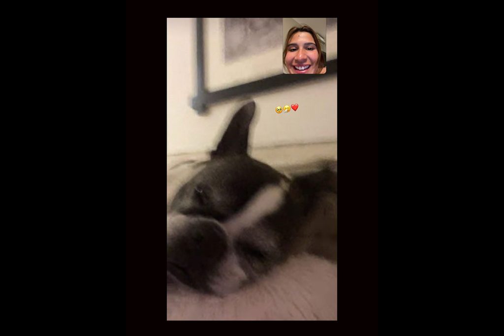 Giulia Costa faz chamada de vídeo com cachorrinha de estimação