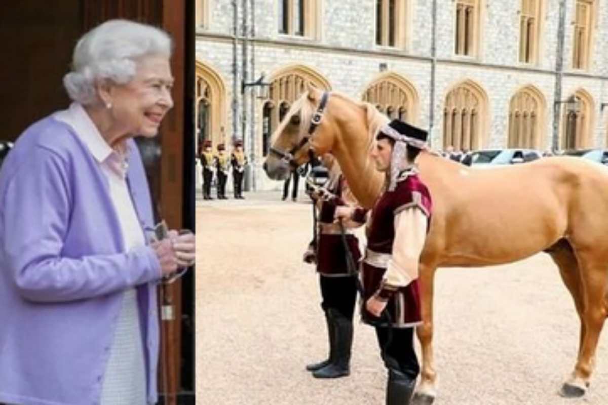 Rainha Elizabeth II sorri para seu novo cavalo