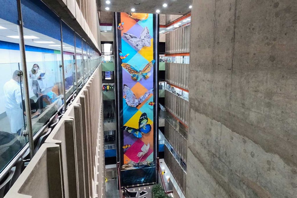 Mural "Metamorfoses", de Eduardo Kobra, no Hospital das Clínicas, SP