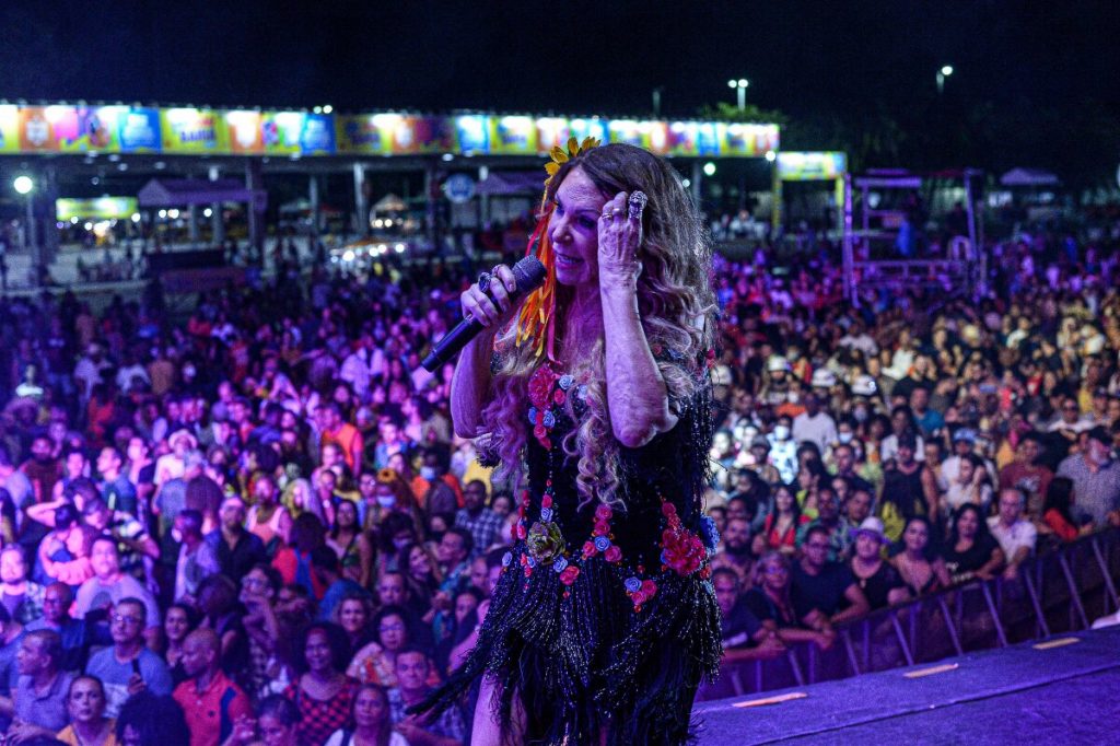 Elba Ramalho com a mão na cabelo, no palco, no show de São João 