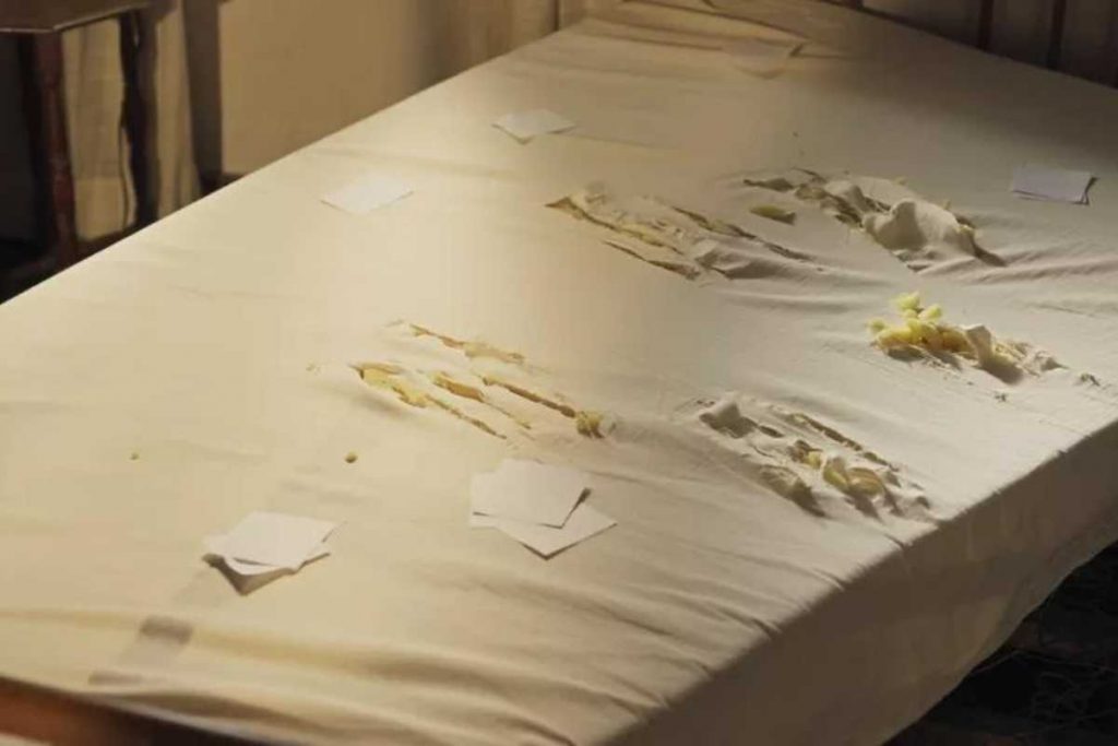 colchão destruído após juma virar onça em pantanal