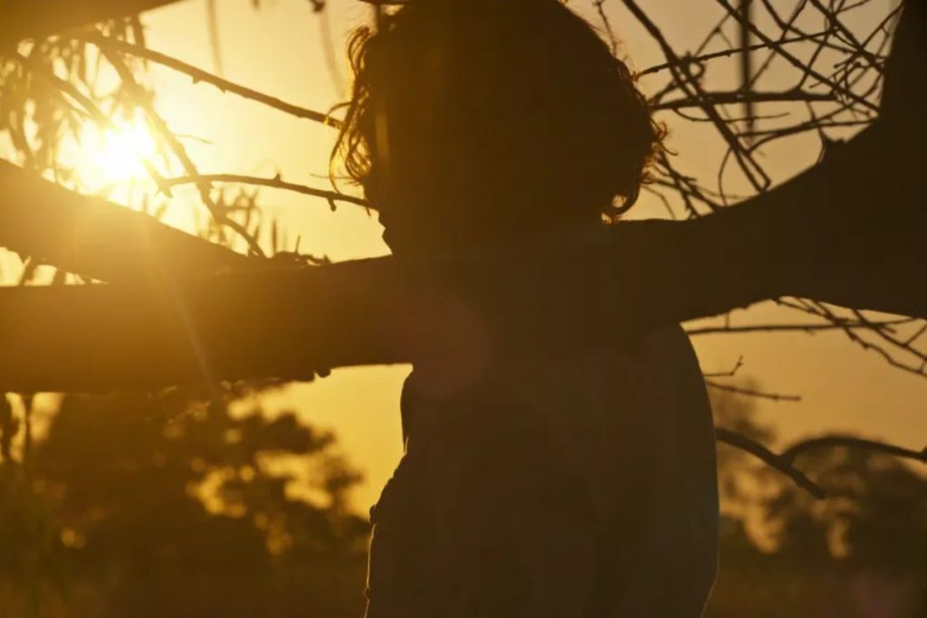 jove (jesuita barbosa) durante pôr-do-sol em pantanal