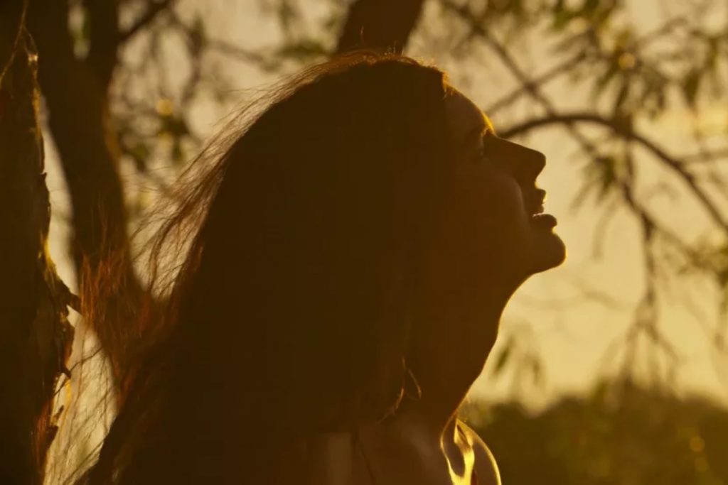 juma (alanis guillen) durante pôr-do-sol em pantanal