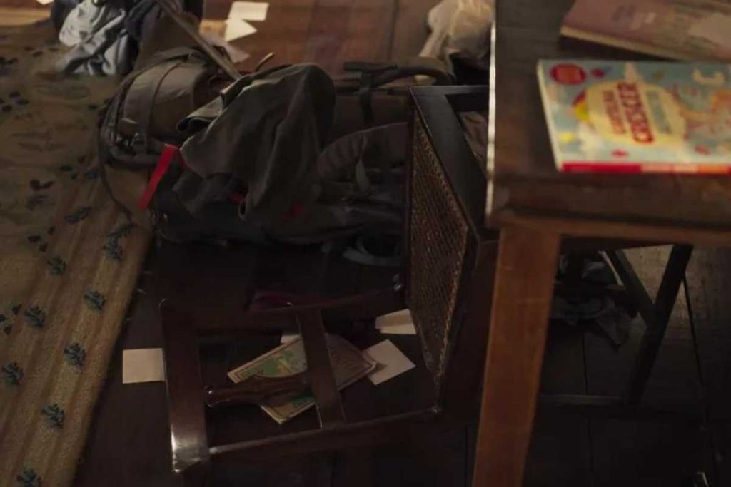 quarto destruído após juma virar onça em pantanal