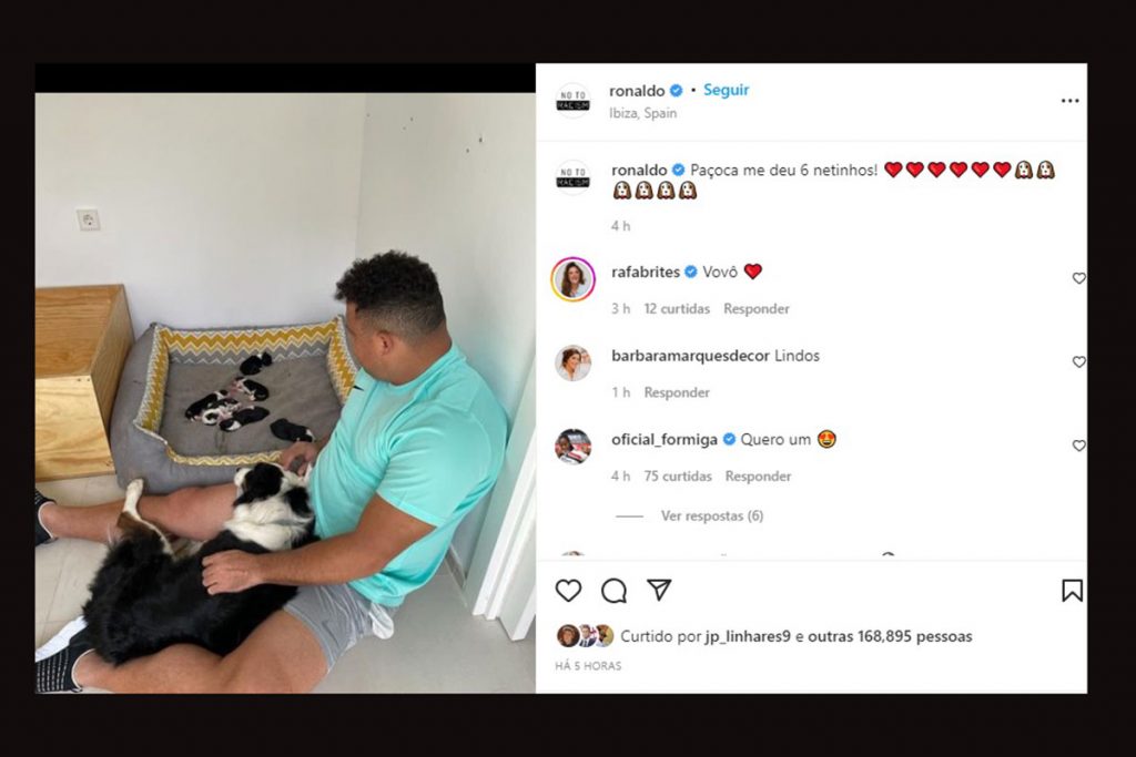 Ronaldo Fenômeno brinca ao mostrar filhotes de sua cachorrinha