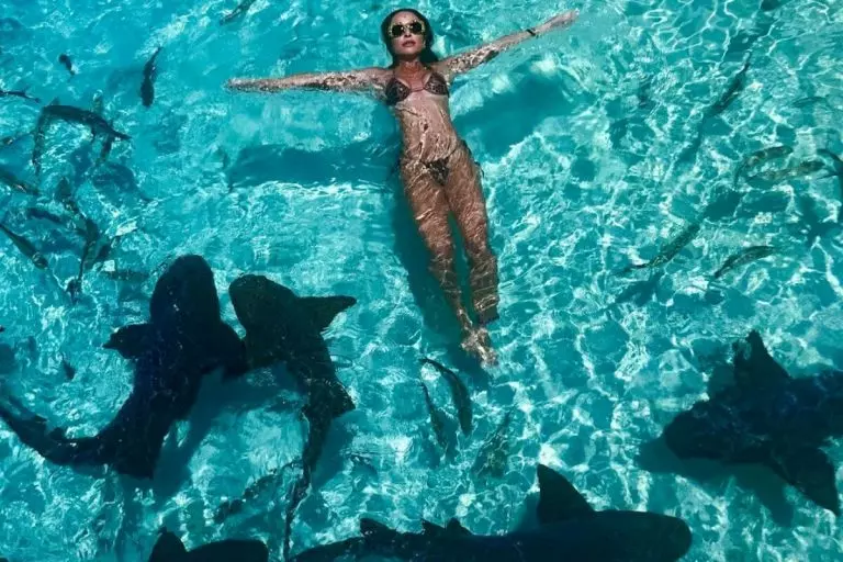 Sabrina Sato nada com tubarões nas Bahamas.