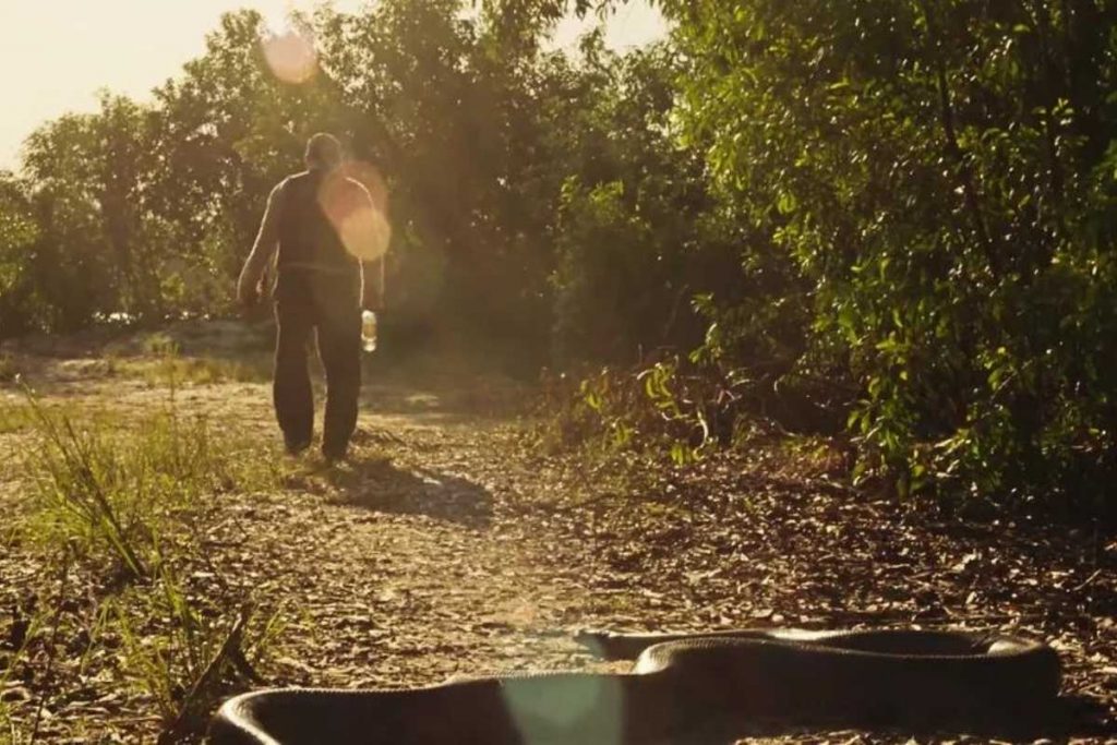 velho do rio (osmar prado) como cobra armando ataque a tenório (murilo benício) em pantanal