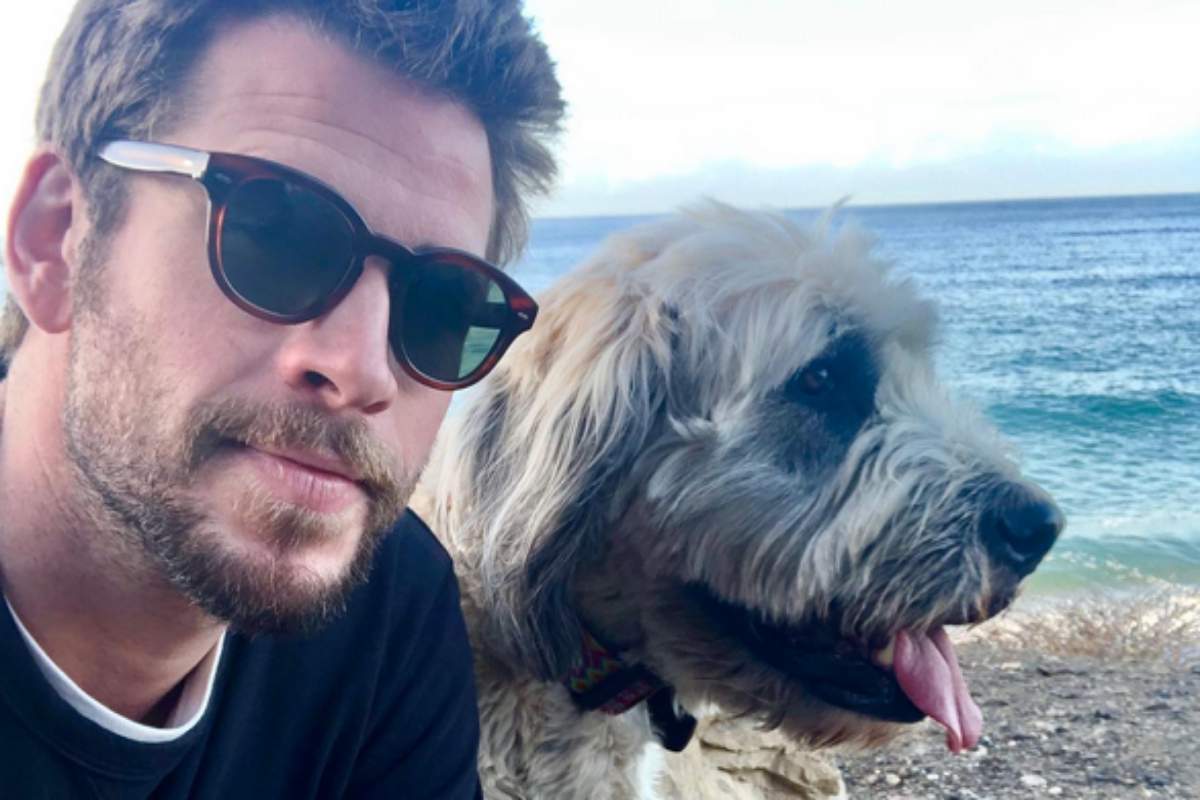 Liam Hemsworth em selfie com seu pet