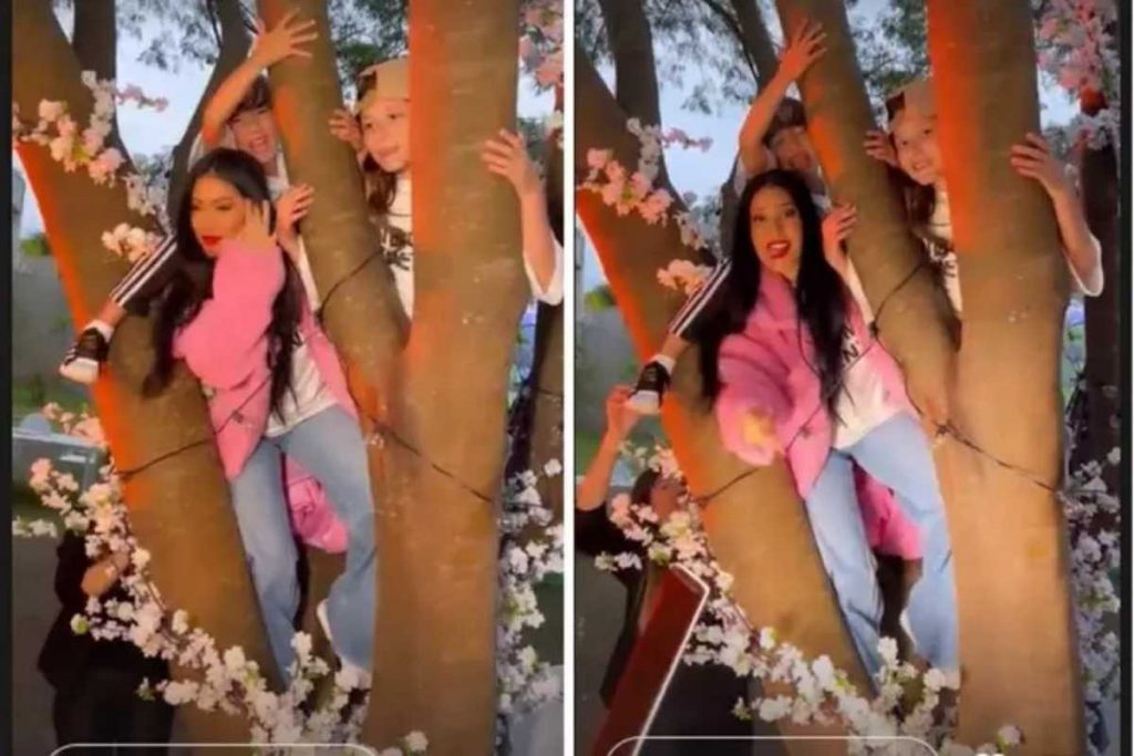 Simaria em uma árvore