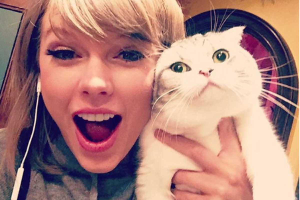 Taylor Swift com sua gatinha branca