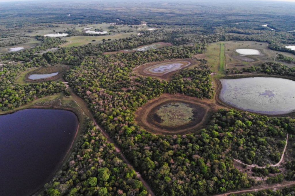 Imagem aérea do Pantanal