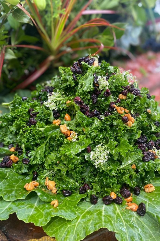 Salada de Kale com crambery e castanhas