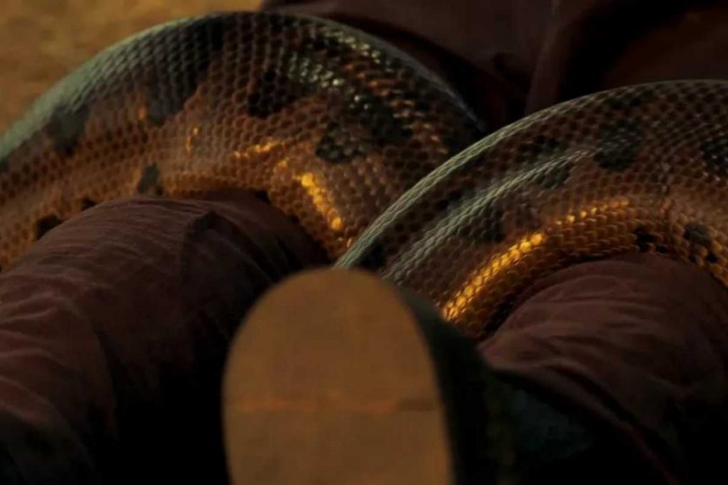 Corpo de Tenório (Murilo Benício) sendo enrolado por sucuri em Pantanal