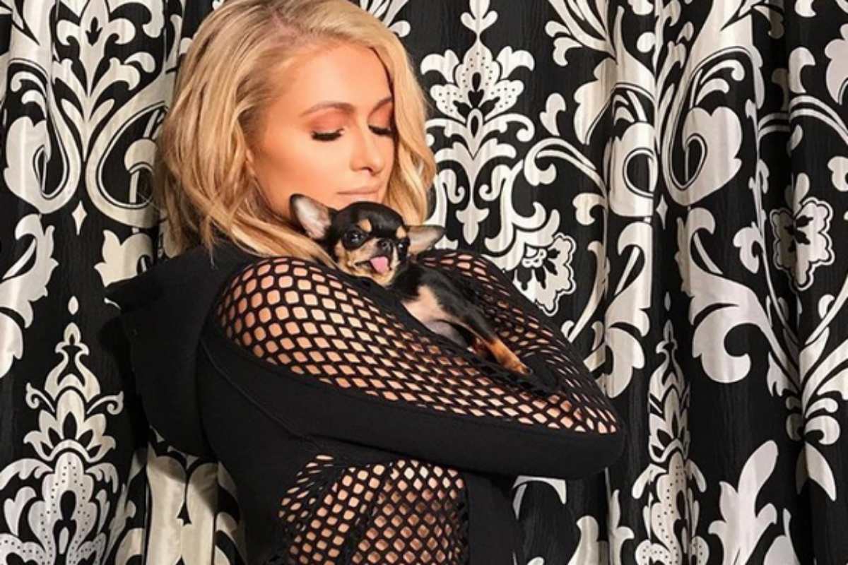 Paris Hilton com cachorro