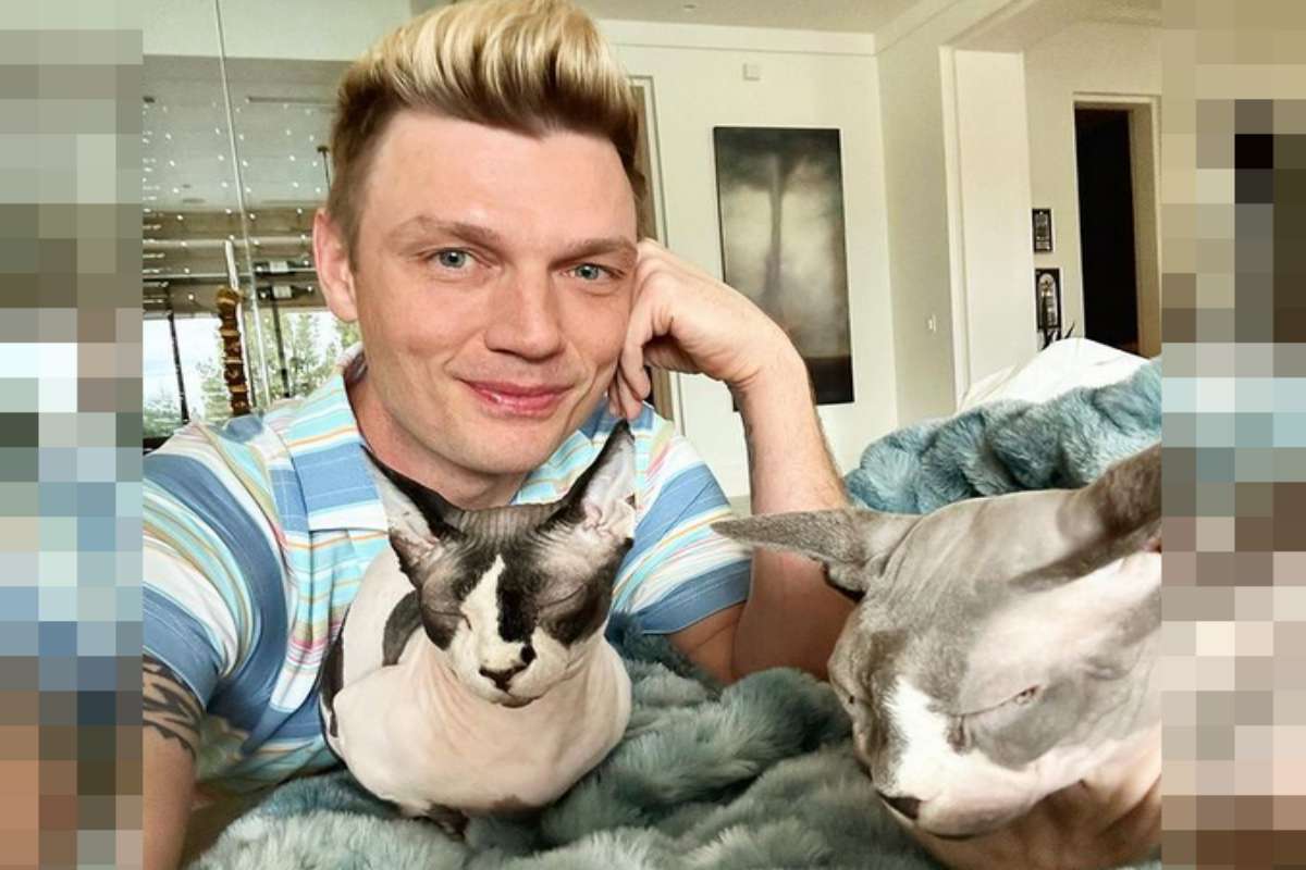 Nick Carter com seus gatos