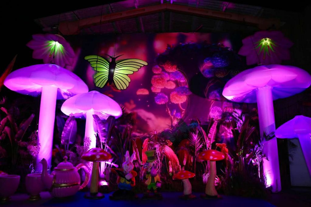 Aniversário de 30 anos de Giovanna Lancellotti