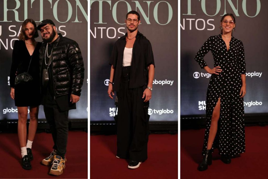 Famosos curtem show de Lulu Santos