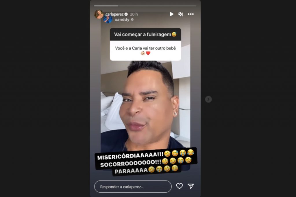 Stories de Carla Perez reagindo a ter mais um filho com Xanddy no Instagram