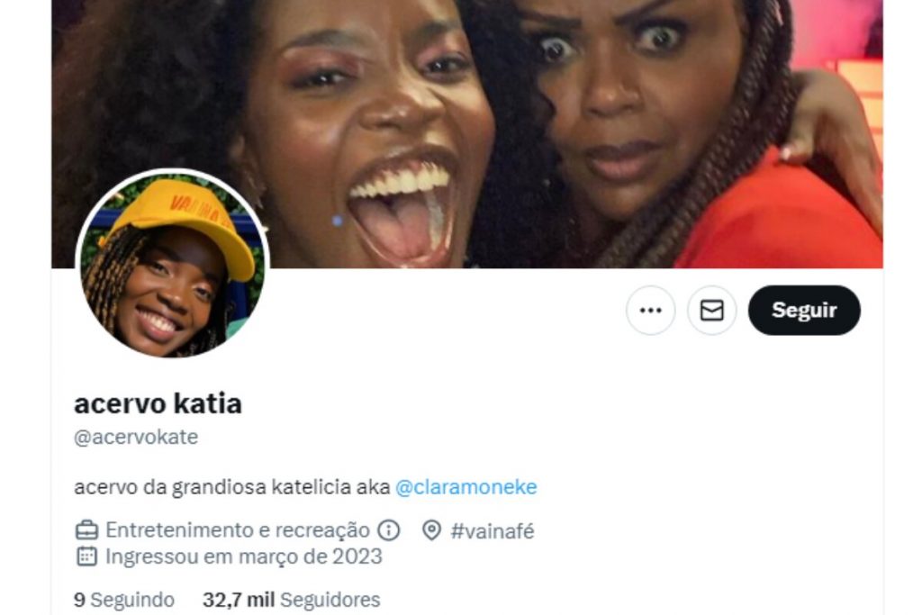 Print perfil do Twitter Acervo Cátia