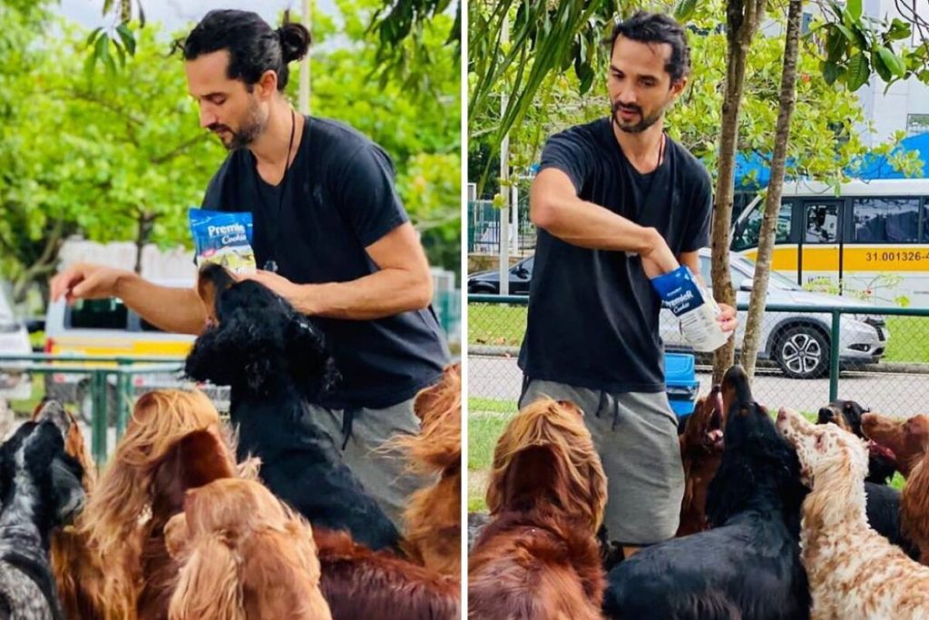 Jeff Machado alimentando os cães