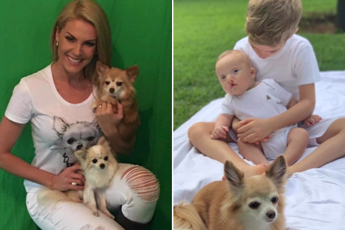 Ana Hickmann, seus filhos e sua cachorra Ramona
