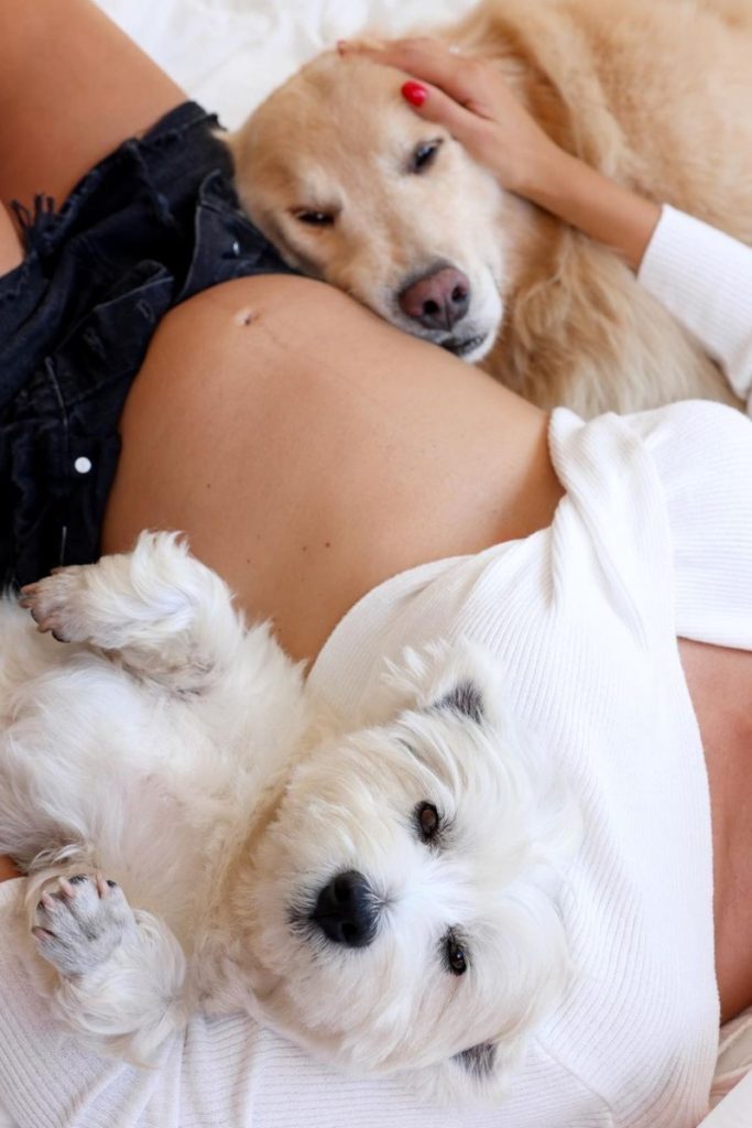 Bruna Biancardi deitada com um pet branco e outro caramelo, ambos apoiados em sua barriga 