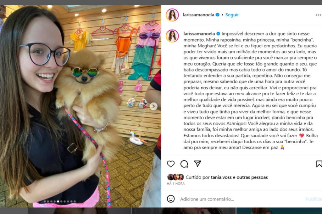 Larissa Manoela lamenta a morte de Meghan, sua cachorrinha