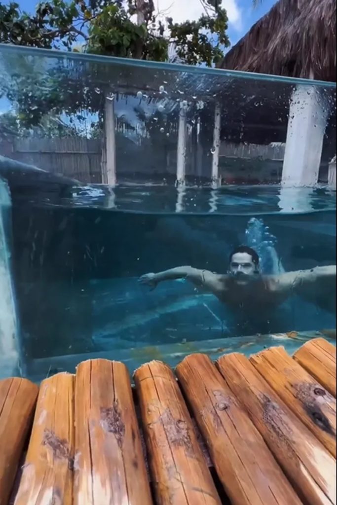José Loreto nadando na piscina