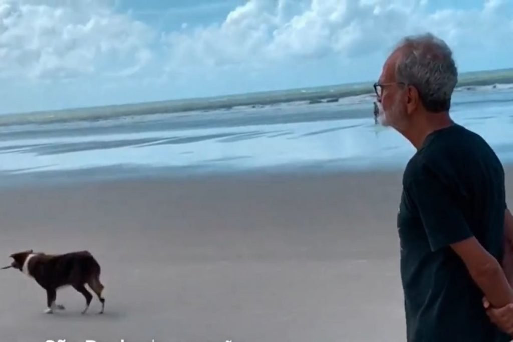 Maurício Kubrusly caminhando pela praia com seu cão, Shiva