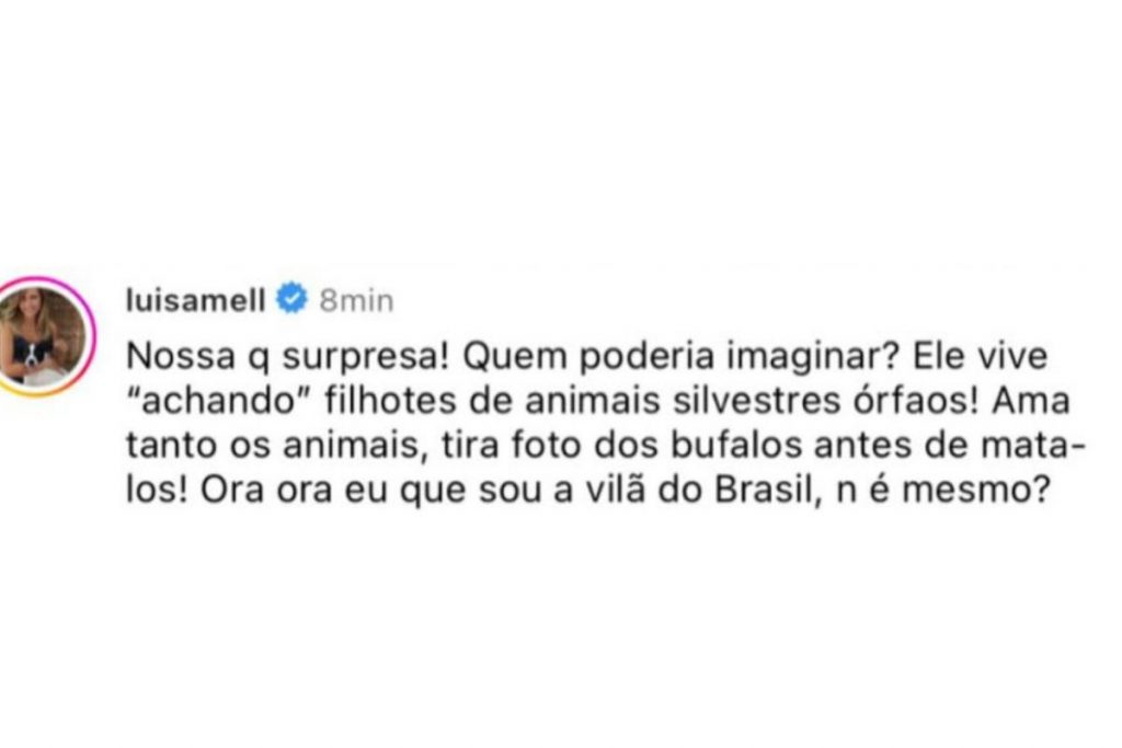 Luisa Mell comenta e ironiza o caso de Agenor (Reprodução/Instagram)